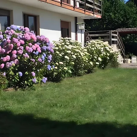 Apartmán Immerso Nel *
